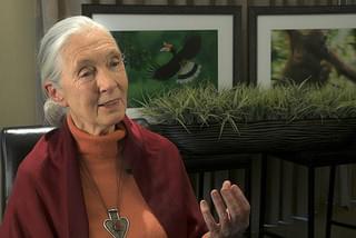 シード 生命の糧