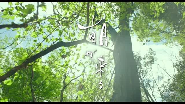 本編映像2