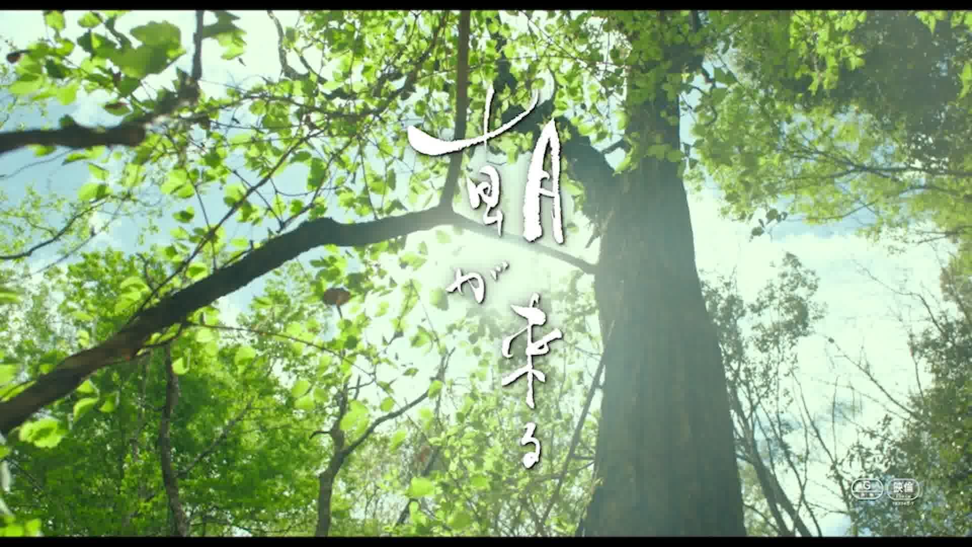 本編映像
