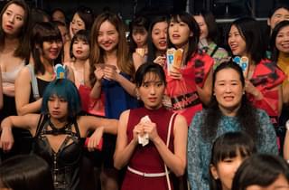 愛なき森で叫べ