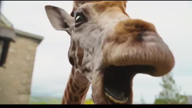 本編映像6（吹き替え版）