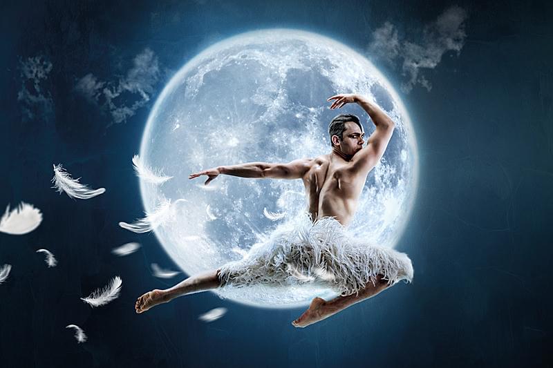 マシュー・ボーン IN CINEMA 白鳥の湖 : 作品情報・キャスト・あらすじ