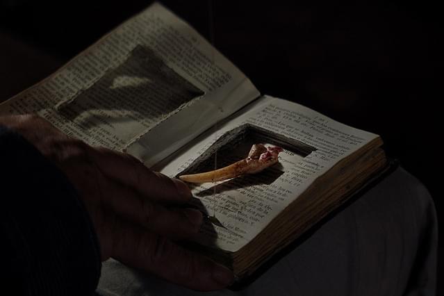 マーダー・ミー・モンスター