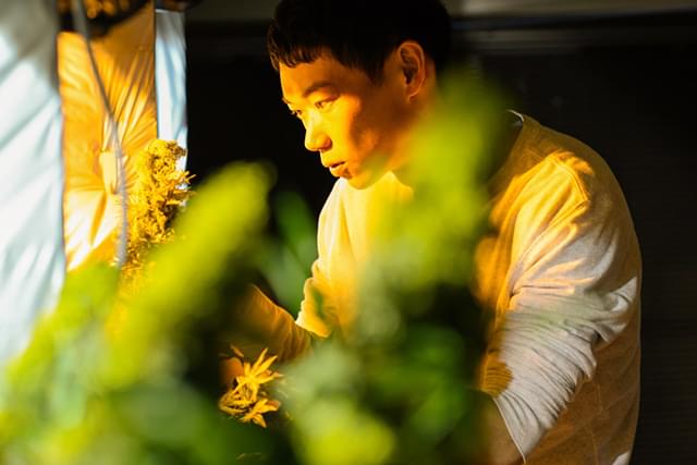 笠松将の「花と雨」の画像