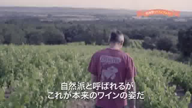 「映画で旅する自然派ワイン」予告編