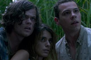 イン・ザ・トール・グラス 狂気の迷路