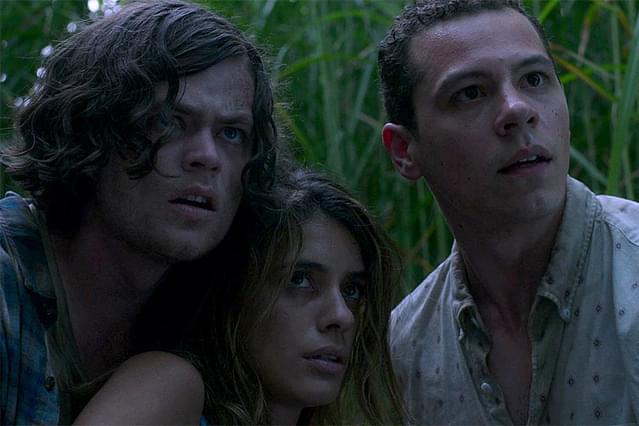 イン・ザ・トール・グラス 狂気の迷路