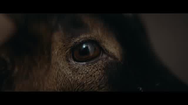 本編映像3（本編冒頭映像）