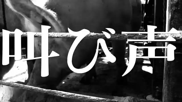 特集上映「異能・渡辺紘文監督特集 大田原愚豚舎の世界Vol.2」予告編
