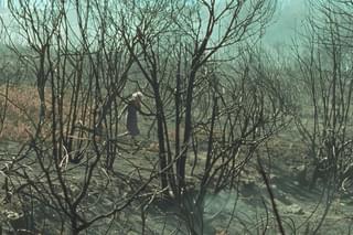 ファイアー・ウィル・カム