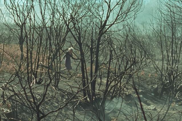 ファイアー・ウィル・カム