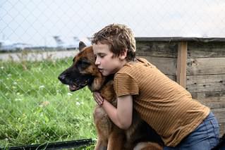 ハチとパルマの物語の特集