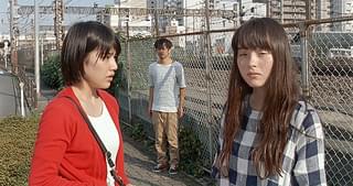 猫、かえる Cat's Home