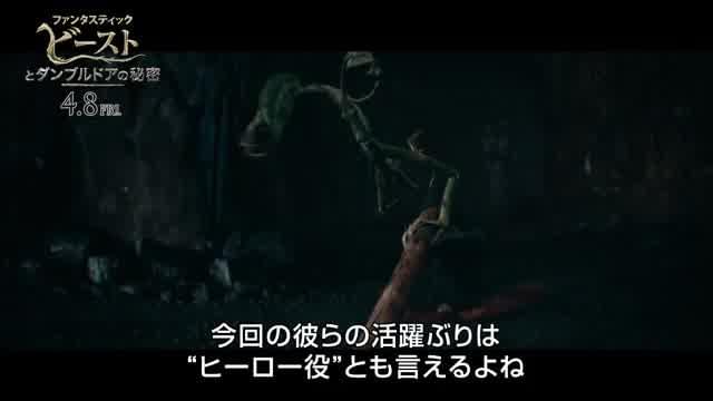 特別映像：魔法動物編