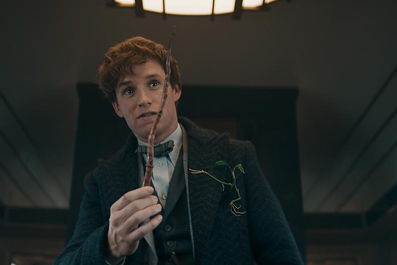 ファンタスティック・ビーストとダンブルドアの秘密 : 作品情報