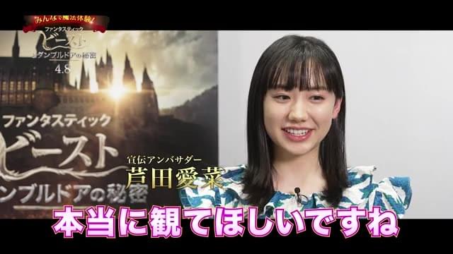 1分でわかる”ファンタビ”特別映像