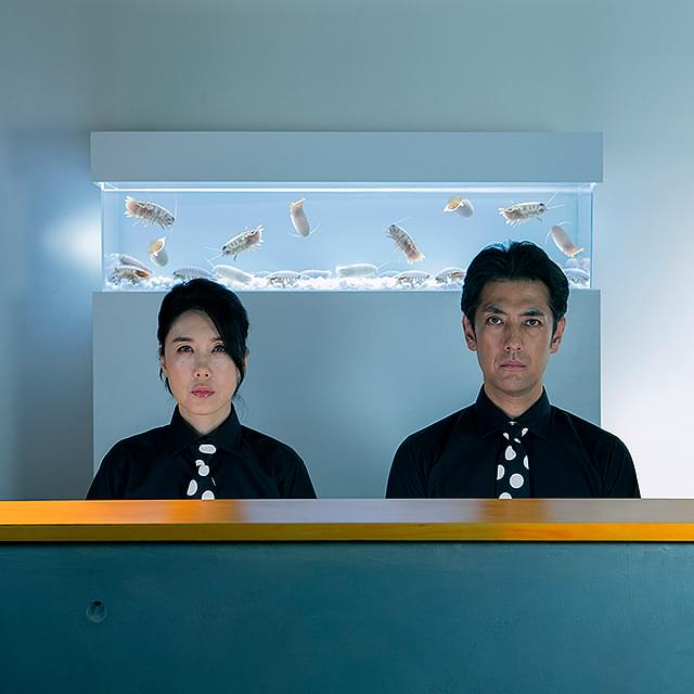 堀部圭亮の「SHELL and JOINT」の画像