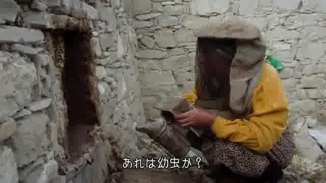 本編映像