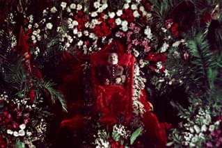 国葬の予告編・動画