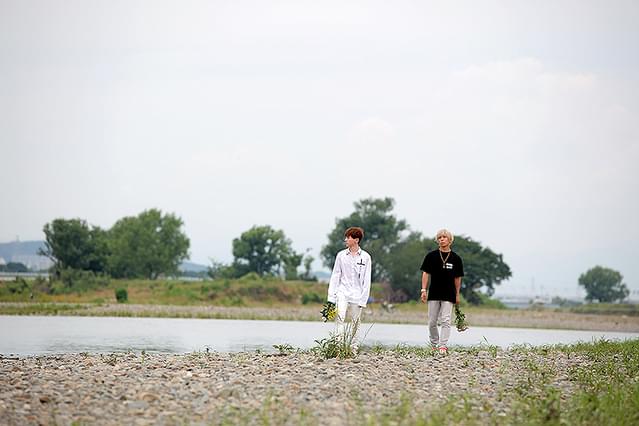 最短距離は回りくどくて、 落花流水