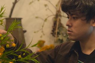 アボカドの固さの予告編・動画