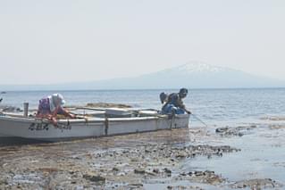 島にての予告編・動画
