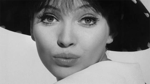 アンナ・カリーナの「アンナ・カリーナ 君はおぼえているかい」の画像