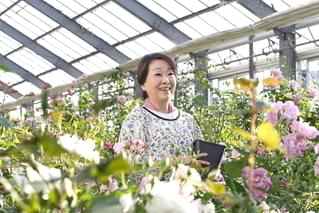 ブルーヘブンを君にの予告編・動画