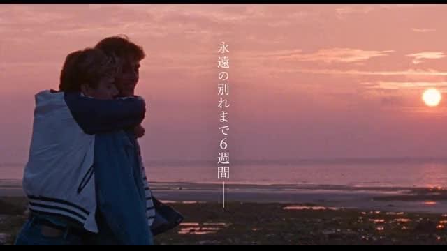 ショート予告：初恋の痛み編