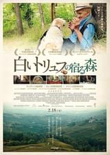 白いトリュフの宿る森