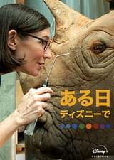 ある日 ディズニーで