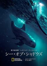 シー・オブ・シャドウズ