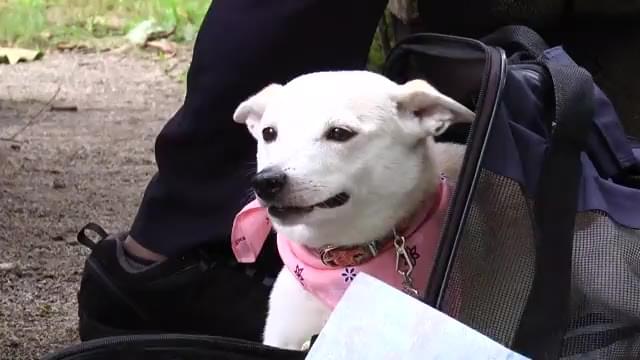 メイキング映像