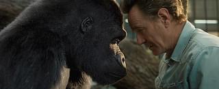 ゴリラのアイヴァン