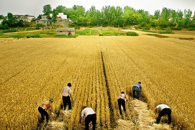 海が青くなるまで泳ぐ