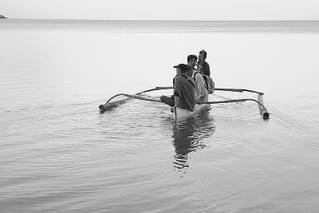 チンパンジー属