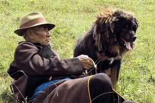 オールド・ドッグ