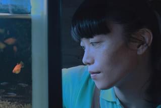 片袖の魚の予告編・動画