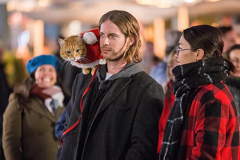ボブという名の猫2 幸せのギフト : 作品情報・キャスト・あらすじ