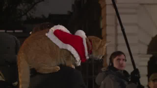 メイキング映像