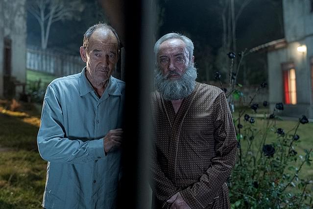 お隣さんはヒトラー？