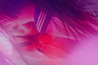 ドリームズ・オン・ファイア