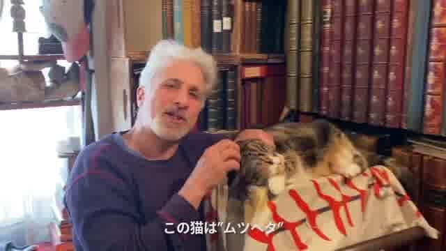 メッセージ映像