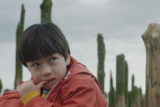 僕が跳びはねる理由