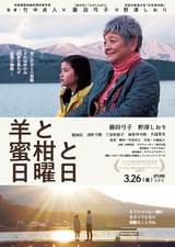 羊と蜜柑と日曜日