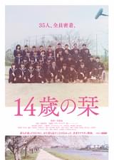 14歳の栞