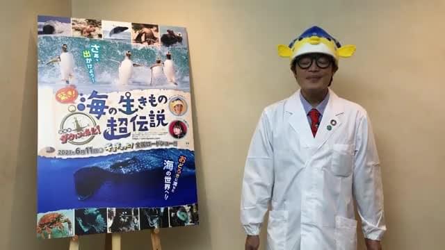 さかなクンからの見どころコメント