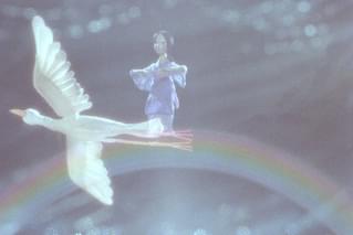 虹に向っての予告編・動画