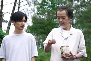 コットンテール