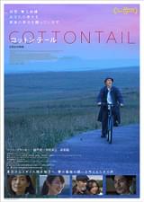 コットンテール